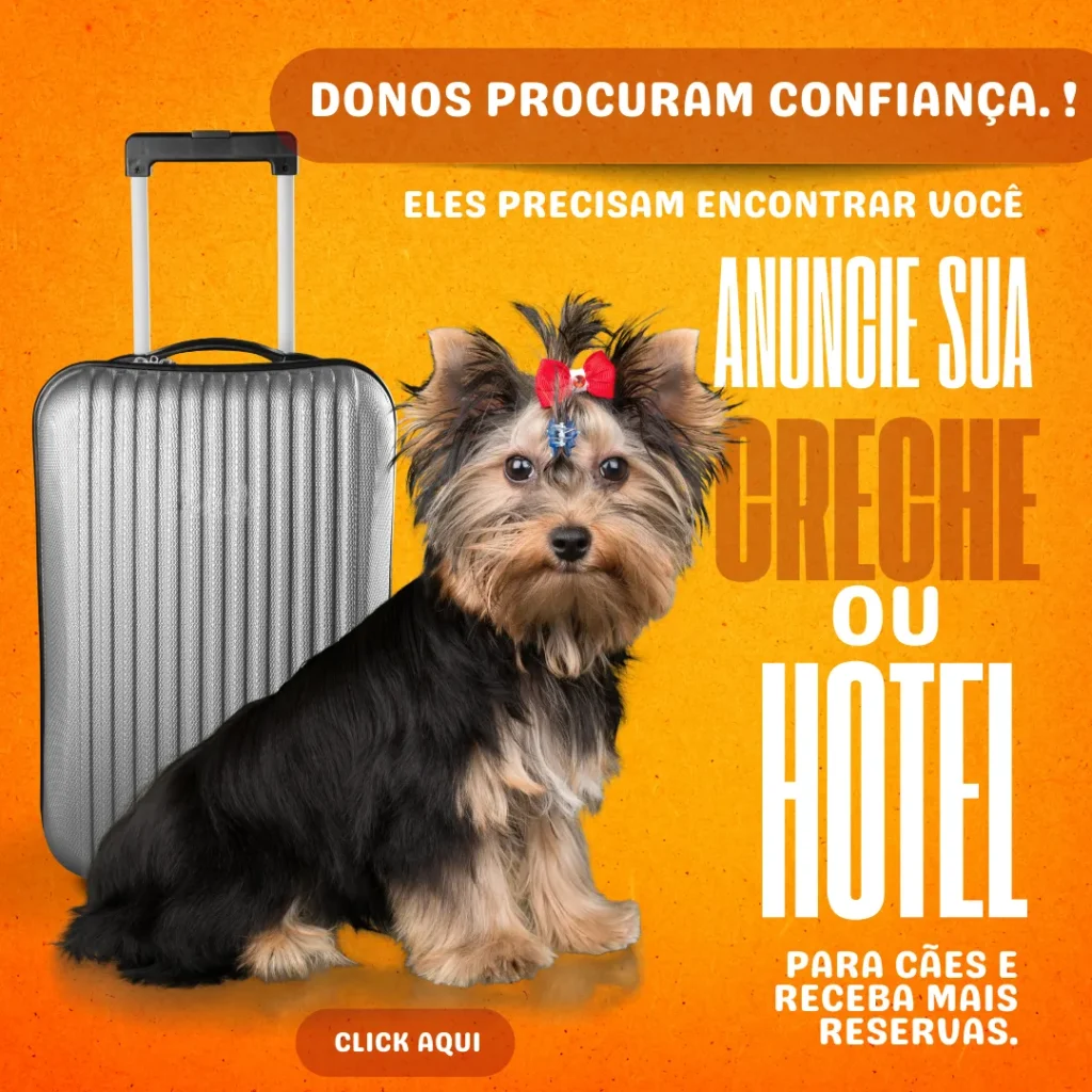 Creche para cães em Guarulhos