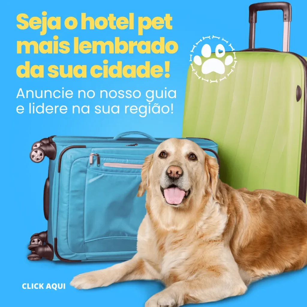 Creche para cães em Guarulhos