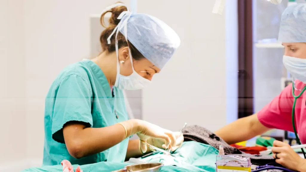 O que a necropsia veterinária realmente mostra O que a necropsia veterinária realmente mostra
