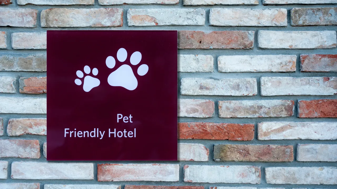 Hotel para cachorro em São Paulo: tudo que você precisa saber.