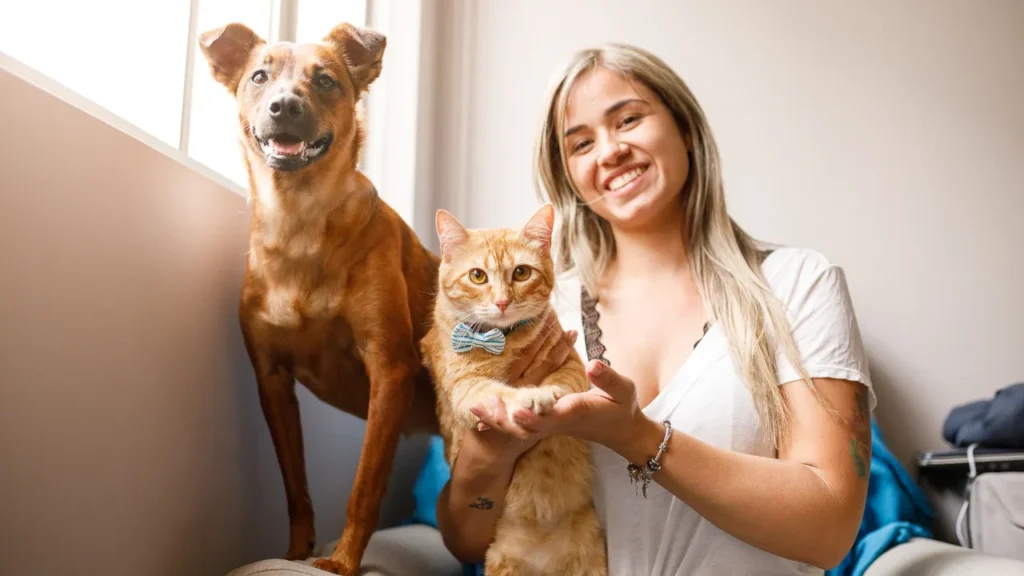 petshop banho e tosa em são paulo Guia completo sobre banho tosa em São Paulo: preços, melhores locais, frequência ideal e dicas para escolher o serviço perfeito para seu pet.