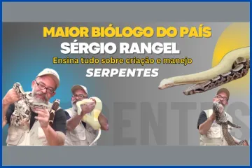 Serpentes com Sérgio Rangel
