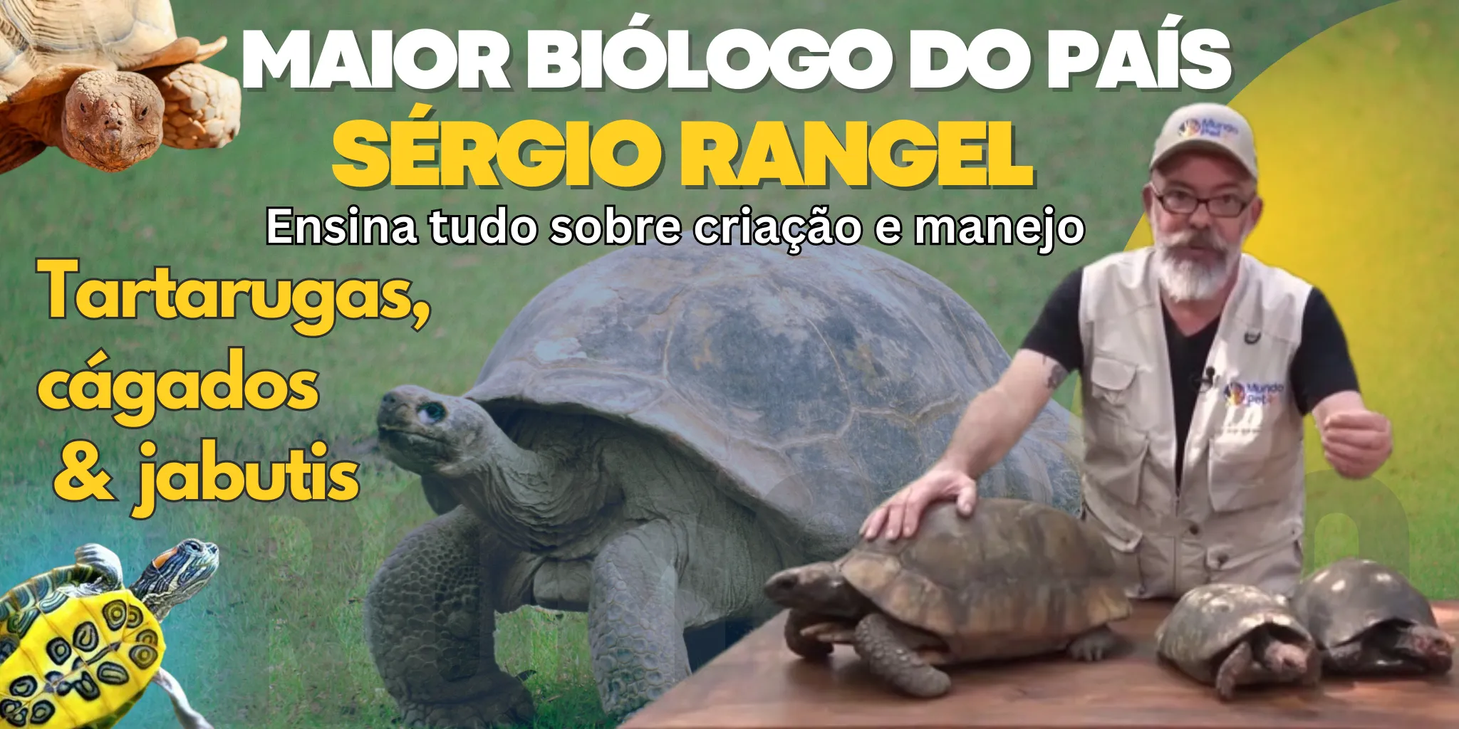 Curso de Quelônios com Sérgio Rangel